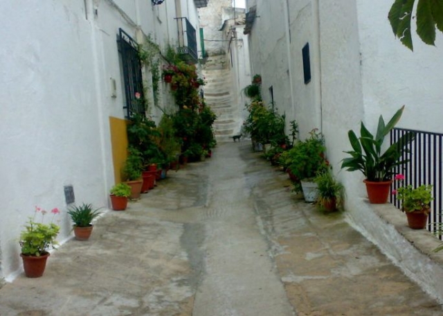 calles de torres